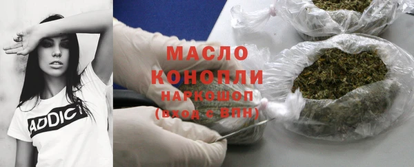 индика Абинск