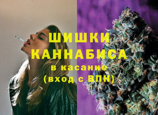 индика Абинск