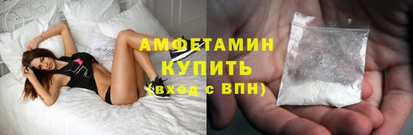 индика Абинск